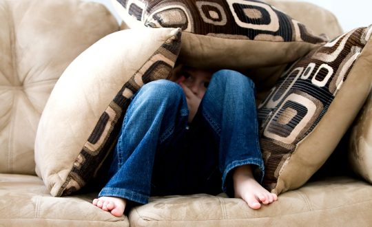 pexels-pixabay-262103