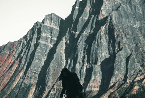 pexels-lureofadventure-10771837