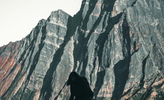 pexels-lureofadventure-10771837